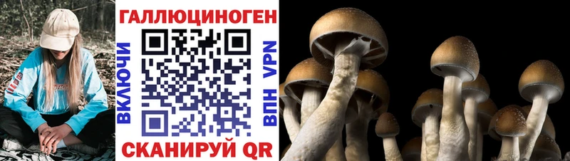 kraken ССЫЛКА  Куса  Галлюциногенные грибы мухоморы  как найти наркотики 